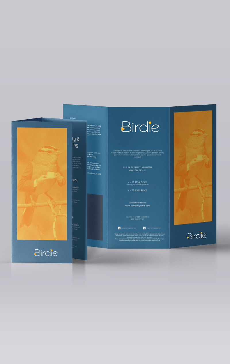 dépliant et plaquette