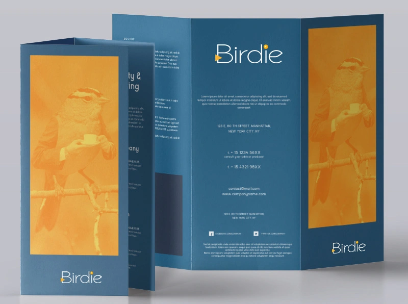 Création de supports de communication